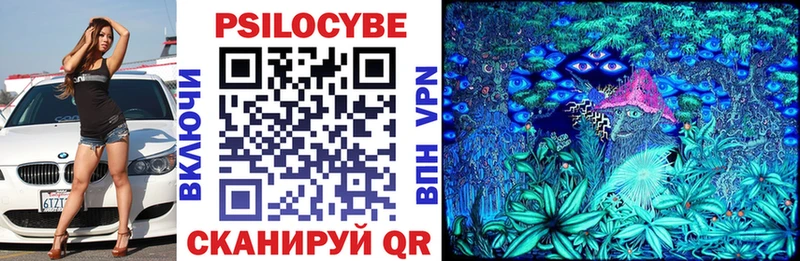 Псилоцибиновые грибы GOLDEN TEACHER  Купить где  Омск